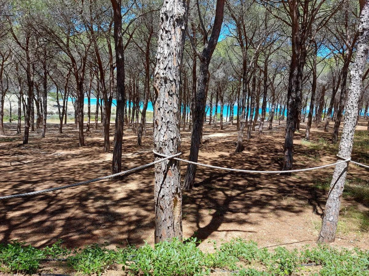Gallura Dream Villas Budoni Eksteriør bilde